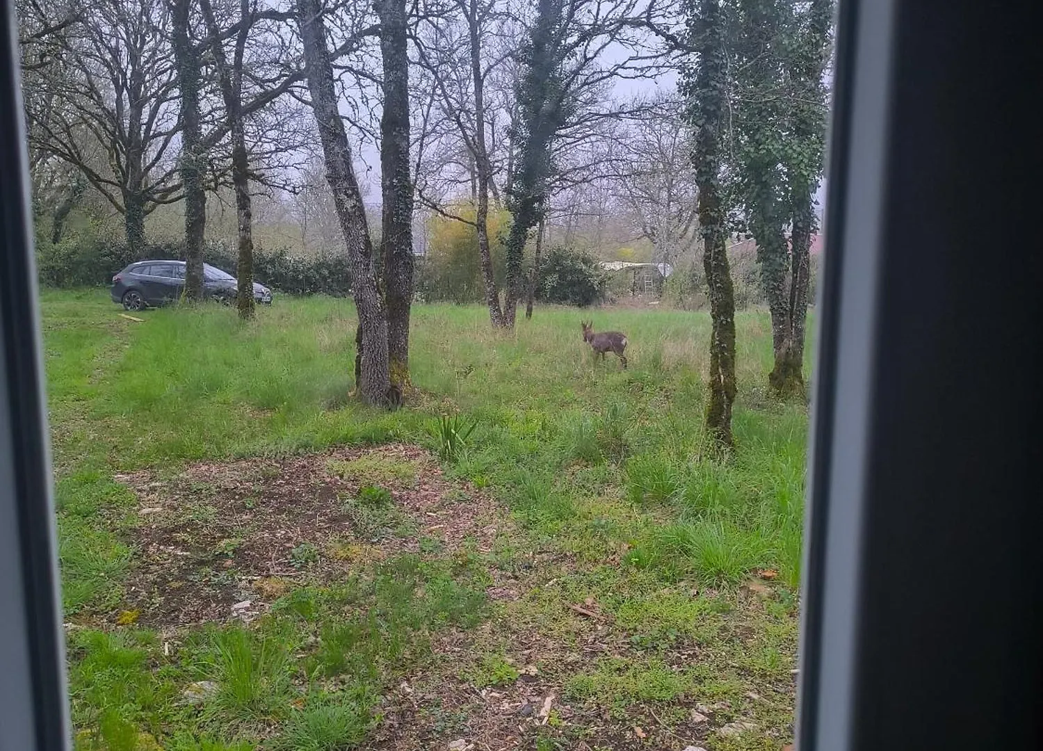 度假居 Escamps Le Refuge Des Bois De Morphee别墅